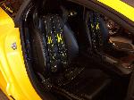 Gallardo fitted with sanction racing approved safety equipment